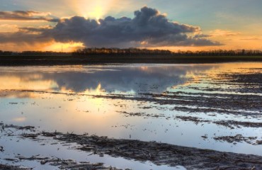 Heavier Than Expected Rainfall has Brought Potato Lifting to a Halt in Europe