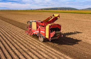 More Than Five Percent of The Netherlands' Potato Seed Crop to Be Harvested