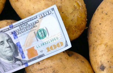 European Processing Potato Prices Have Increased