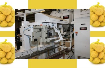 PACE Mechanical Handling’s Scalable Potato Packing Line Now Available