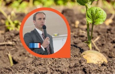 France Continues to Decrease Its Area of Seed Potatoes