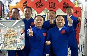 Chinese ‘Space Potato Seeds’ on Earth Labs Tests