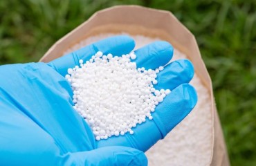 BioConsortia Extends Nitrogen-fixing Microbial Products to Potatoes