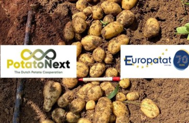 PotatoNext Joins Europatat