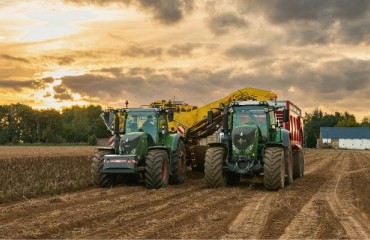 Still Around 15,000 Hectares of Potatoes to Be Lifted in Belgium, Holland, Germany and France
