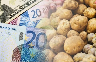 Cost Price Calculation for Dutch Potato Growers Shows Slight Increase