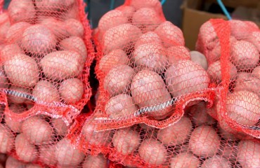 The Export Value of All American Potato Varieties Increased