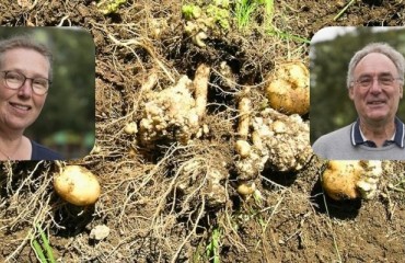 Fighting Novel Plant-parasitic Nematodes With the Help of NEM-EMERGE Project