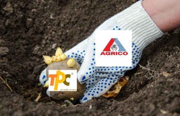 Agrico to Purchase The Potato Company’s Seed Operations