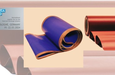PTFE Conveyor Belts for High-Pressure, High-Temperature, and High-Oil Food Processing