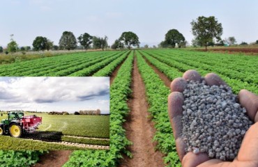 Limus Leads the Way in Velcourt Nitrogen Use Efficiency Trials