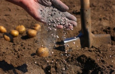 The European Fertilizer Sector to Grow Until 2030 by 2.50%