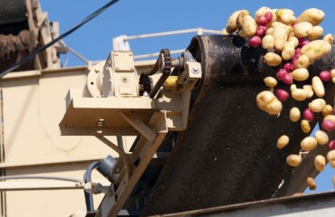 Maximizing Factory Throughput and Efficiency by Investing in New Conveying Technology