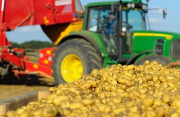 The 2023 U.S. and Canada Potato Output Reveals One Digit Growth Y-O-Y