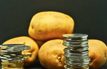The Little Potato Co. Project Financed By Alberta's Agri-processing Investment Tax Credit Program