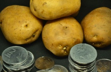 USD100.9bn is the Total Economic Contribution of the U.S. Potato Value Chain in 2021