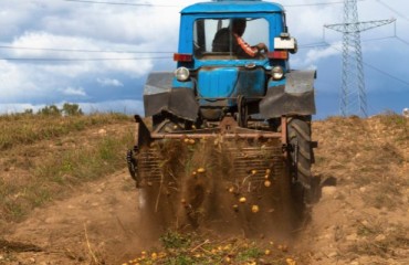Canadian Potato Cultivating Knowledge Shared With Ukraine by P.E.I.’s Razom Invest Canada