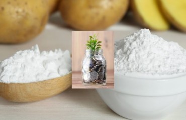 EUR1.4m Funding for Royal Avebe and UMCG’s Project in Enzymatic Redesigning of Starch