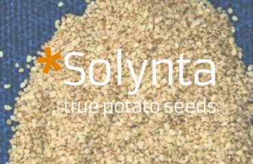 ‘Solynta - True Potato Seed’: The Company’s New Market-driven Rebranding Strategy