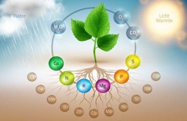 Brand New Website About Sustainable Potato Fertilization
