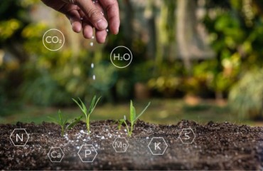 Exploring the Possibilities: The CO2 Fertilization Effect