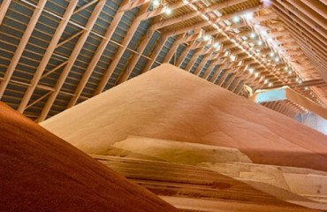 Fertilizer Use Will Continue to Grow This Year
