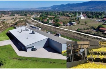 Bolu Potato Factory Has Joined the Ma Group