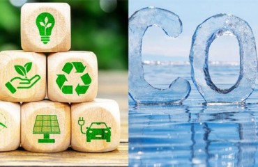 Spuds Go Green: Eco-friendly Ways to Cut Carbon Emissions in Potato Processing