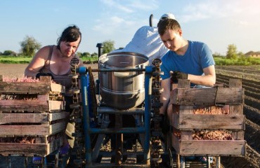 European Potato Planting at a Slow Pace