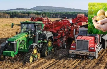 European Potato Exports Have Slowed