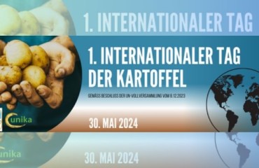 International Potato Day and This Staple Crop’s Importance for the German Economy