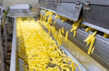 A 35,000 Tons Per Year Al-Jouf Potato Chips Factory Trial Operation Just Begun