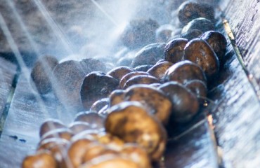 How Tech is Turning Dirty Spuds into Pristine Produce