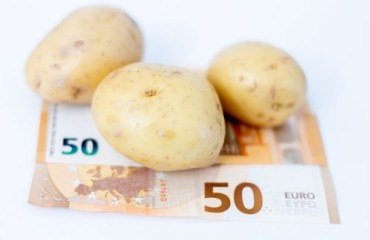 Overwhelming Percentage of New Zealand Farmers Support the Potato Commodity Levy