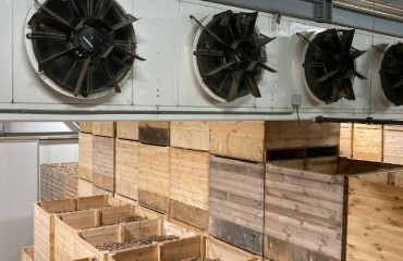 CO2 Sensors Safeguard Potatoes for Processing