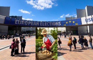 Key Concerns of the German Potato Trade Association About the Future EU Agriculture Policy