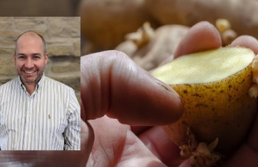 Biofresh Safestore to Demonstrate Its Potato Sprout Suppression System