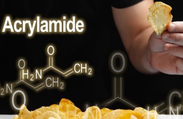 Acrylamide Communication Campaign Launched by SAFE