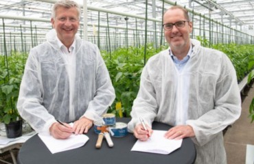 Bayer and Solynta Commercialization and Distribution Agreement in Kenya and India