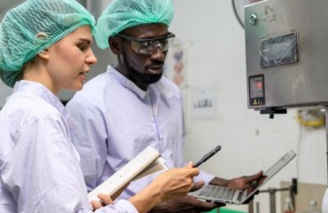 Celebrating World Food Safety Day: A Look at Germany's Contributions