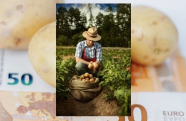 NFU Tackles the Impact of Trade, Weather, and Input Prices on the British Potato Harvest