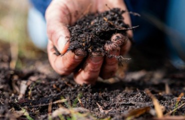 Digital Agriculture Investment Spearheaded by McCain Foods