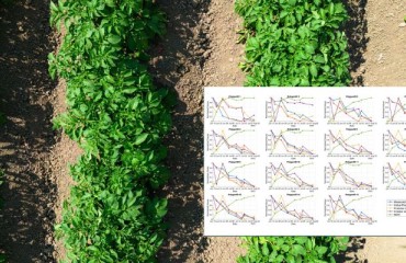 Exploring the Benefits of Satellite Imagery for Potato Growers