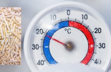The Implications of a Three-Degree Increase in Frozen Food Storage Temperature