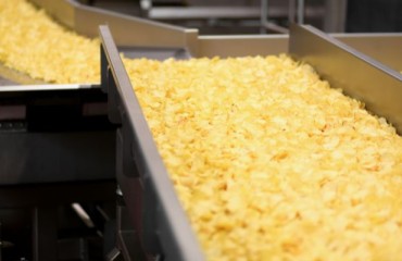 A Hassle-free Path to Potato Processing Success