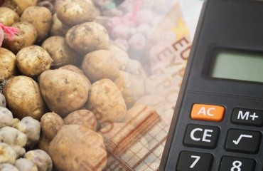 USD50m Surplus Commodity Purchase for Potatoes Was Announced by the USDA