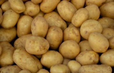 The U.S. Potato Processing Market on the Rise