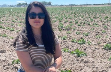 U of I Academic Work: Farmers’ Perceptions on Potato Seed Diseases