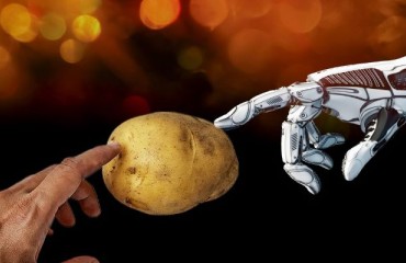 ADAPT Will Use New Sensor Line to Study Drought/Heat and Flooding Stress in Potatoes