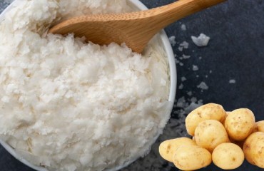The Demand for Potato Flakes Remains Strong Until 2034